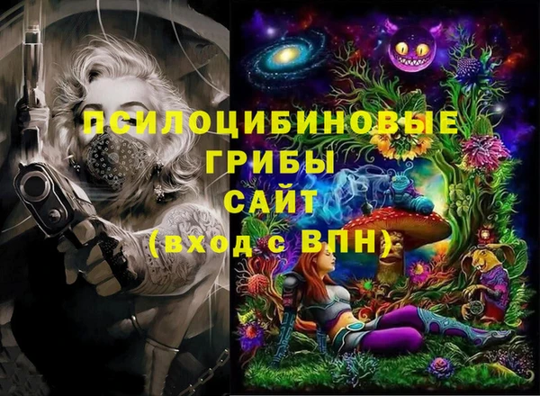 2c-b Абинск