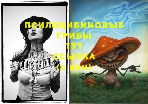 шишки Алексеевка