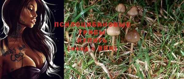 бошки Алзамай