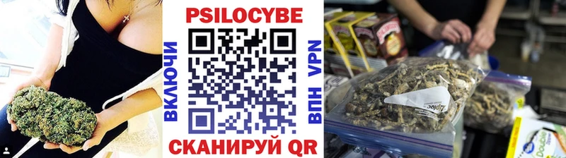 Псилоцибиновые грибы Psilocybe  Пыталово 